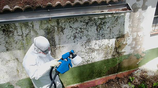 Top rated local Mold Remediation specialists in Winchester, VA